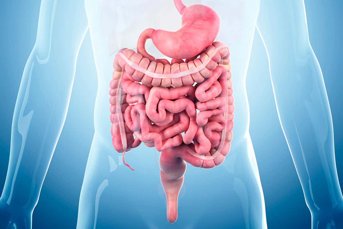 Intestinal Disease Treatment in Noida Sector 128